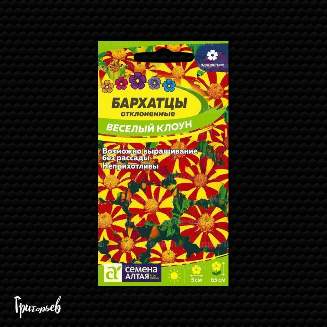 Бархатцы Веселый клоун отклоненные