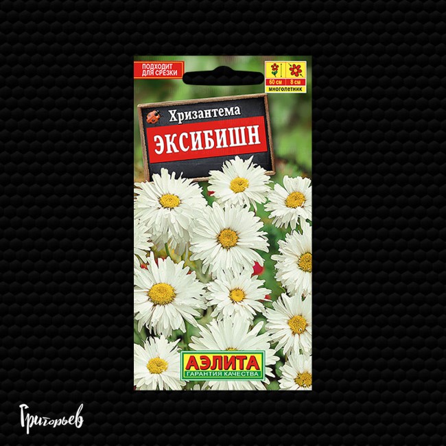 Хризантема Эксибишн Хризантема Эксибишн