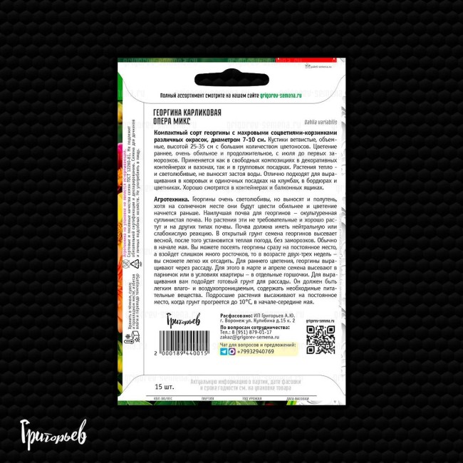 Георгина Опера Микс карликовая