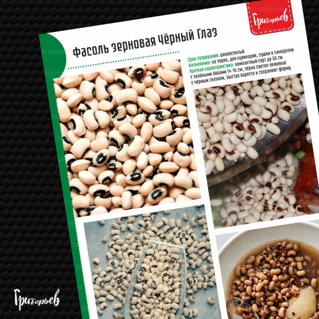 Фасоль Чёрный Глаз кустовая