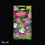 Азарина Вьющийся триколор вьющийся